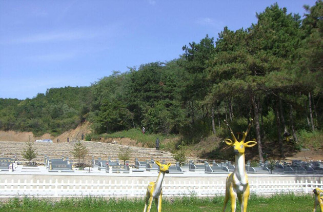 千宝山墓区2.jpg