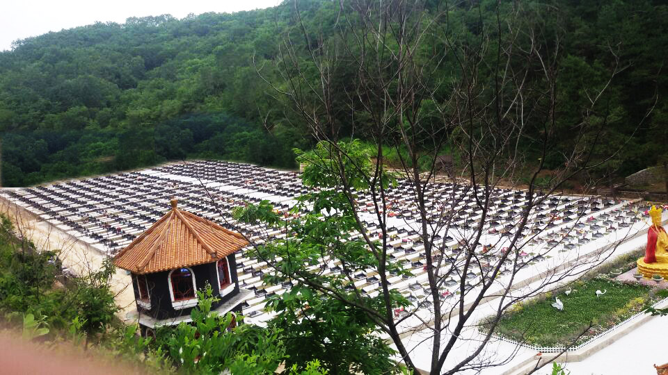 千宝山墓区9.jpg