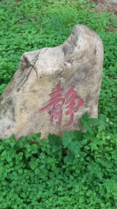 抚顺千宝山息园一角.jpg